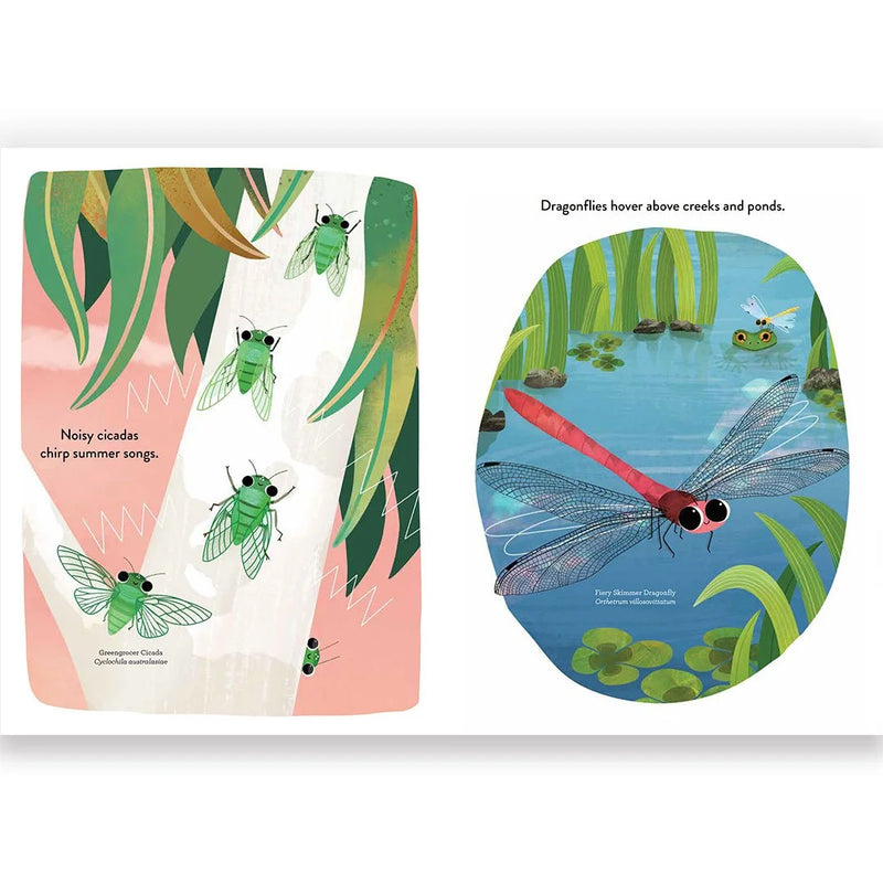 Ingenious Insects (Hardcover) by Sarah Allen Kids Picture Book