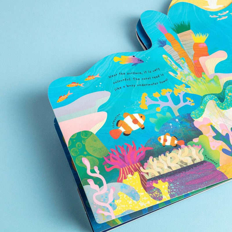 Animal Homes: Ocean (Board Book) Kids Book