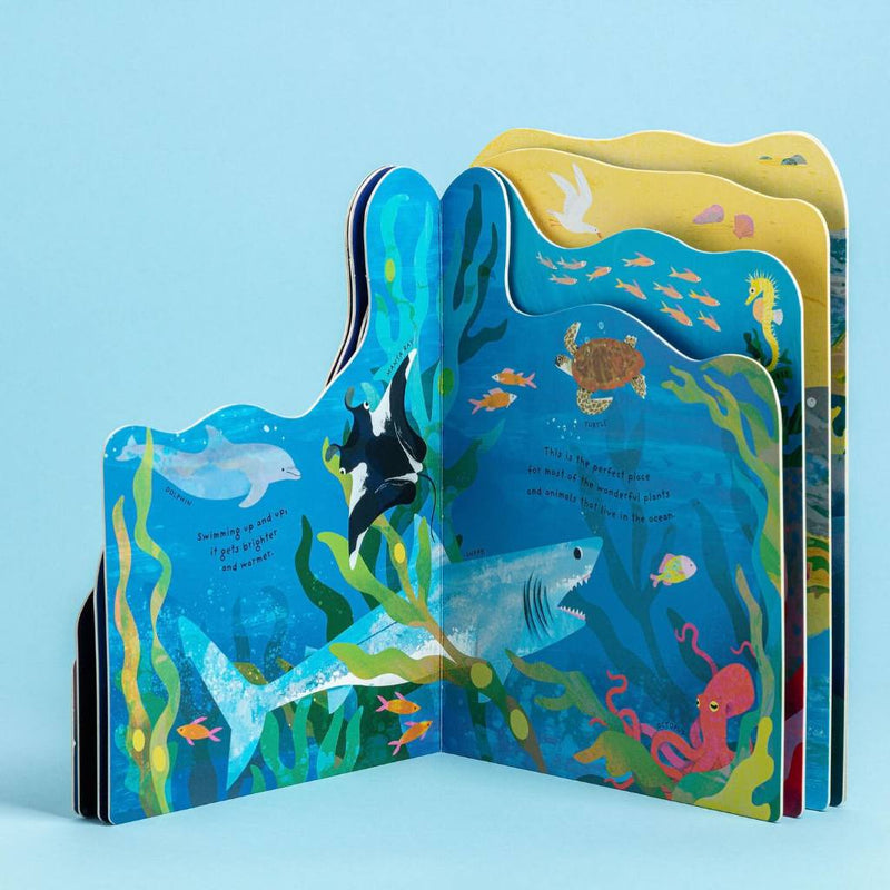 Animal Homes: Ocean (Board Book) Kids Book