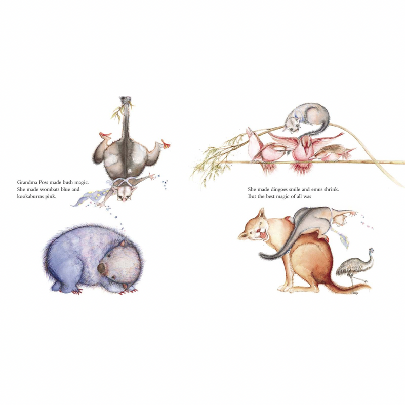 Possum Magic 40th Anniversary Limited Edition Hardcover with Gift Box by Mem Fox, Julie Vivas Kids Picture Book