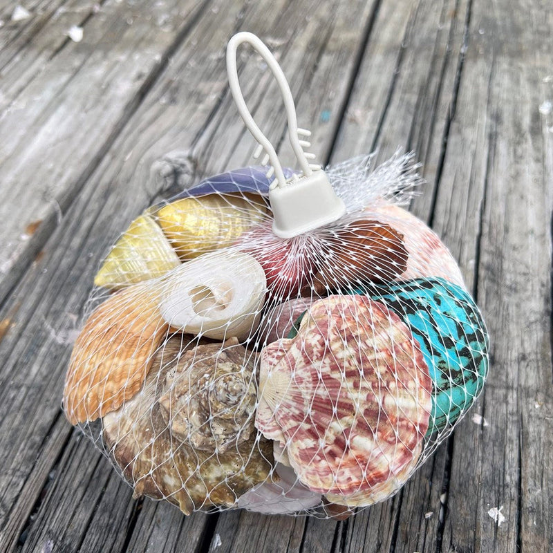 Shell Packon Assorted Sea Shell Pack Large Ocean Sensory Nature Play Collection — My ...