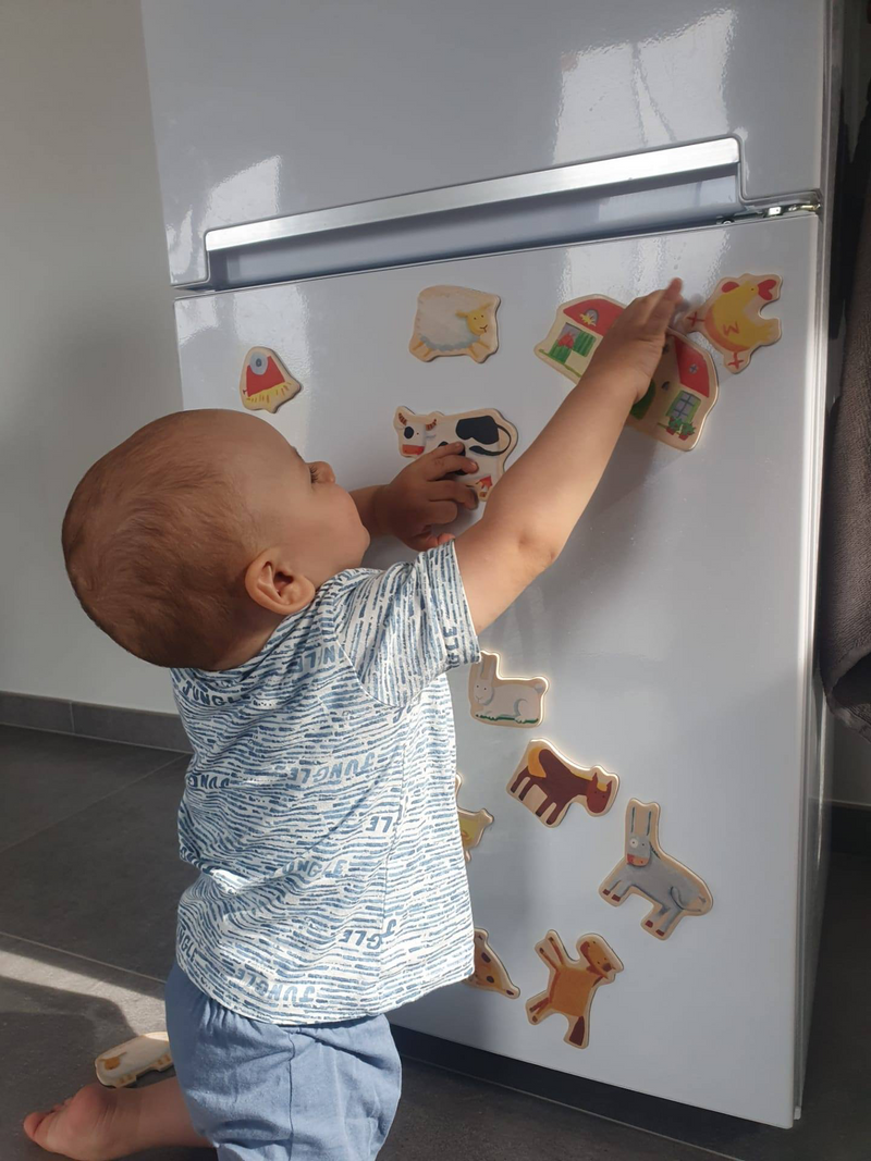 Farm Magnetic Game Puzzle 24pcs by Djeco Cognitive Travel Developmental Toys Gift Idea for Toddler 2yrs+