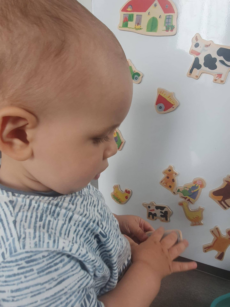 Farm Magnetic Game Puzzle 24pcs by Djeco Cognitive Travel Developmental Toys Gift Idea for Toddler 2yrs+