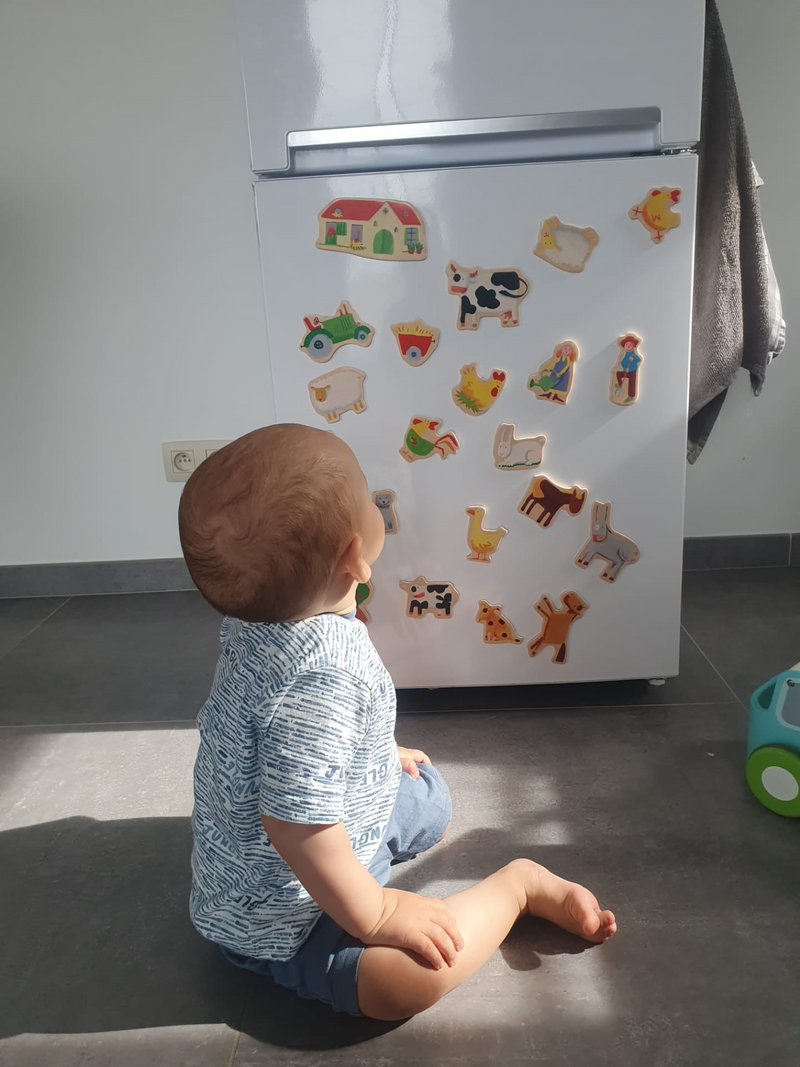 Farm Magnetic Game Puzzle 24pcs by Djeco Cognitive Travel Developmental Toys Gift Idea for Toddler 2yrs+