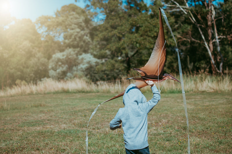 Jurassic Dino Kite Extra Large Pterodactyl 76 x 140cm By Brookite Dinosaur toy Outdoor Play Best Seller Dinosaur and Dragon Theme 3yrs+ (Bulky Shipping)