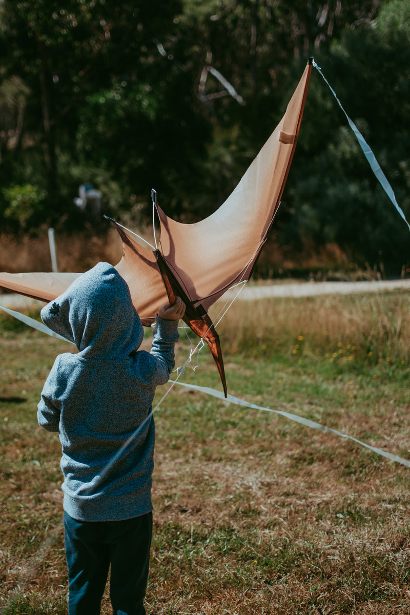 Jurassic Dino Kite Extra Large Pterodactyl 76 x 140cm By Brookite Dinosaur toy Outdoor Play Best Seller Dinosaur and Dragon Theme 3yrs+ (Bulky Shipping)