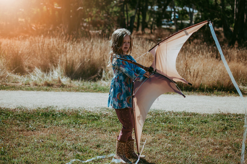 Jurassic Dino Kite Extra Large Pterodactyl 76 x 140cm By Brookite Dinosaur toy Outdoor Play Best Seller Dinosaur and Dragon Theme 3yrs+ (Bulky Shipping)