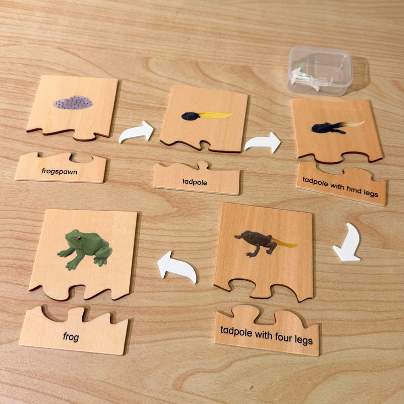 Montessori Wooden Life Cycle of Frog Puzzle Set with 5 Figurines Montessori Materials 3yrs+