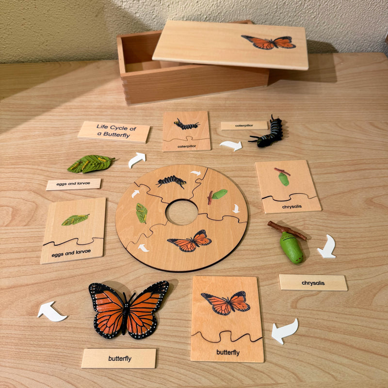 Montessori Wooden Life Cycle of Butterfly Puzzle Set with 4 Figurines Montessori Materials 3yrs+