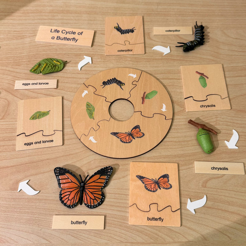 Montessori Wooden Life Cycle of Butterfly Puzzle Set with 4 Figurines Montessori Materials 3yrs+