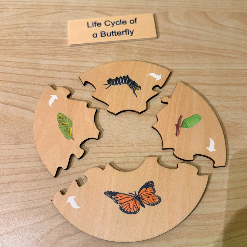 Montessori Wooden Life Cycle of Butterfly Puzzle Set with 4 Figurines Montessori Materials 3yrs+