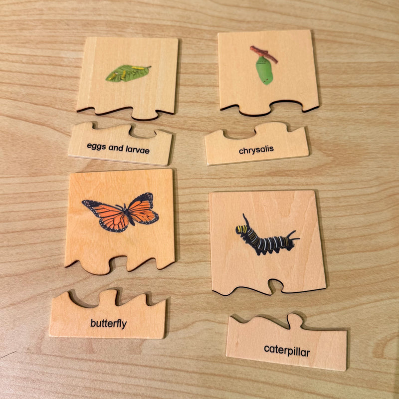 Montessori Wooden Life Cycle of Butterfly Puzzle Set with 4 Figurines Montessori Materials 3yrs+