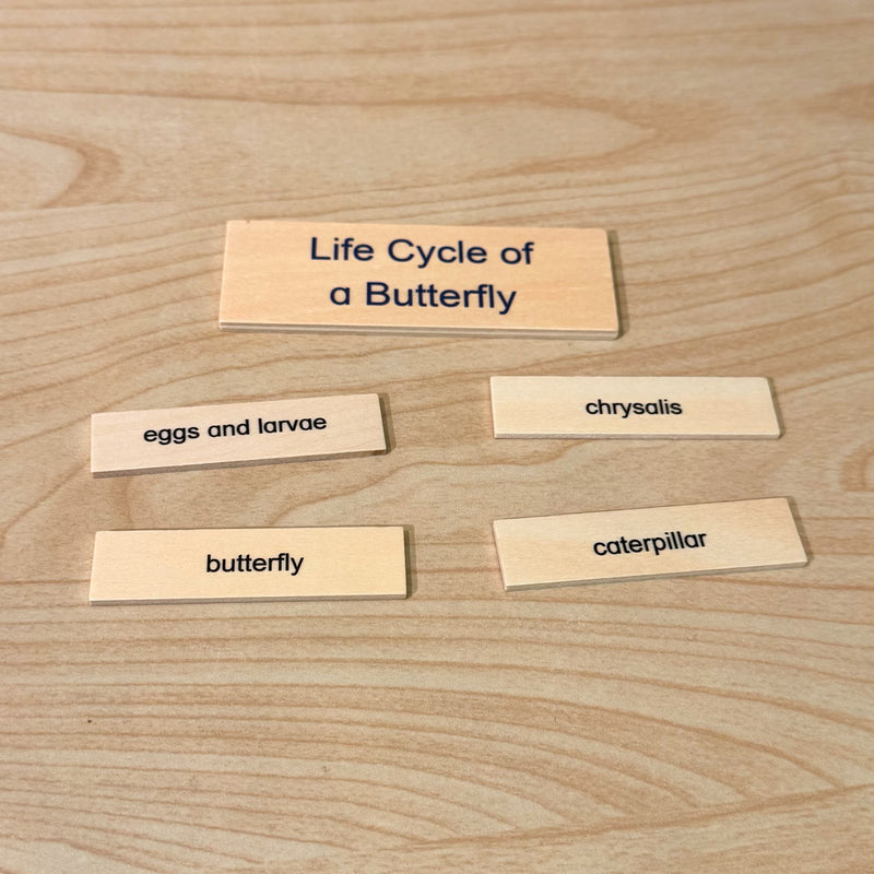 Montessori Wooden Life Cycle of Butterfly Puzzle Set with 4 Figurines Montessori Materials 3yrs+