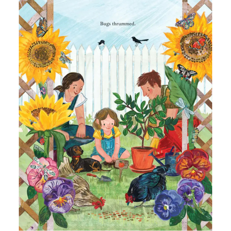 Another Year Around the Sun (Hardcover) by Katrina Germein Kids Picture Book