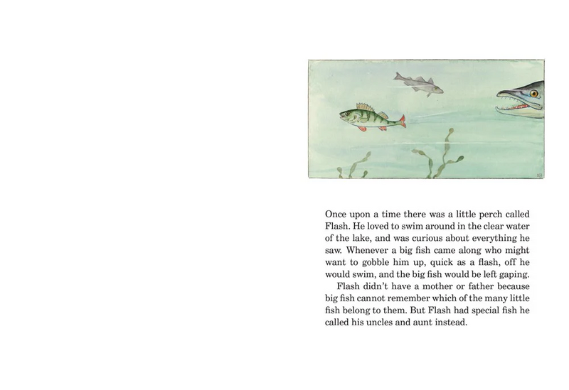 The Curious Fish Book (Hardcover) by Elsa Beskow Kids Book
