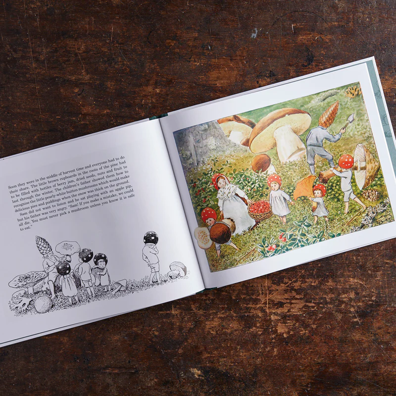 Children of The Forest (Hardcover) by Elsa Beskow Kids Book