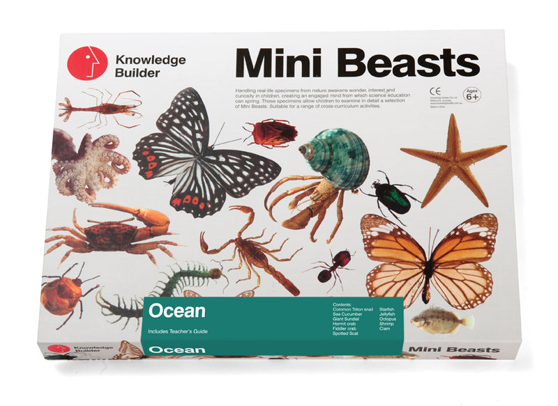 Mini Beasts Ocean Large Set by Knowledge Builder Early Science STEM Toys 3yrs+