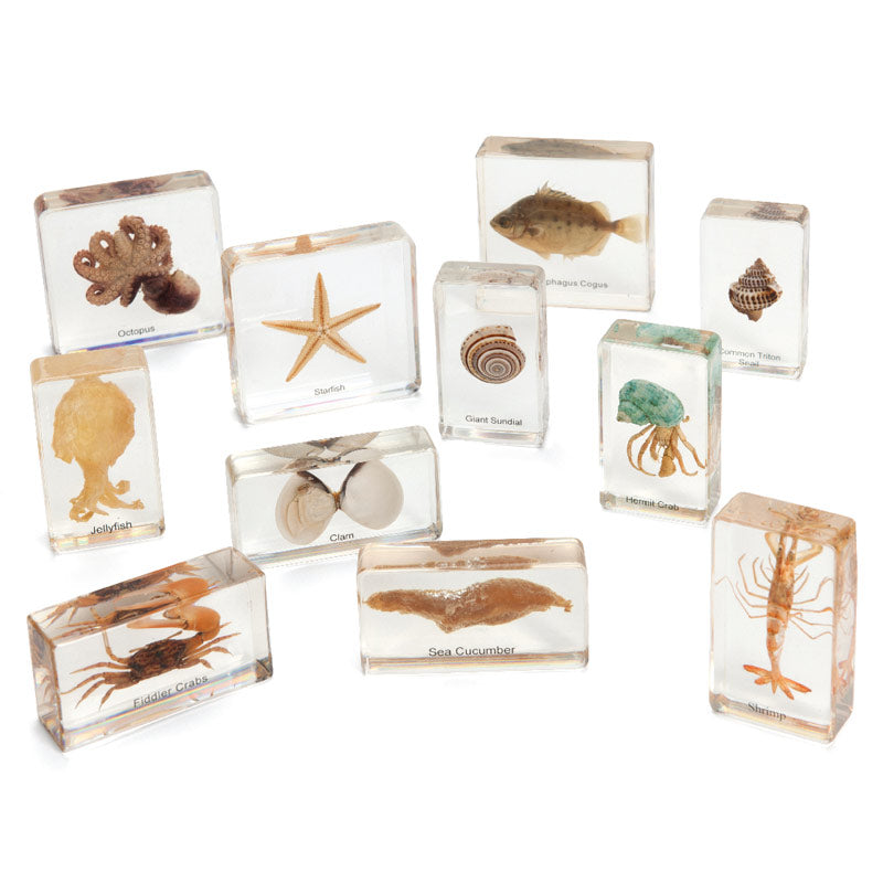 Mini Beasts Ocean Large Set by Knowledge Builder Early Science STEM Toys 3yrs+