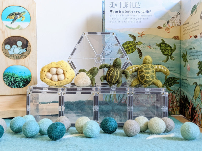 Tara Treasures Felt Life Cycle of Green Sea Turtle Set Pretend & Imaginative Play Toys Felt Animals 3yrs+