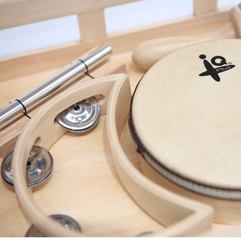 IQ Plus Music Set in Wooden Tray 5pcs Musical Instrument for Kids School Range 3yrs+