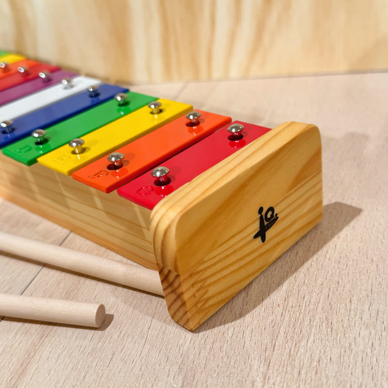 IQ Plus 12 Note Metal Rainbow Glockenspiel/Xylophone with Wooden Mallets Musical Instruments for Kids 3yrs+