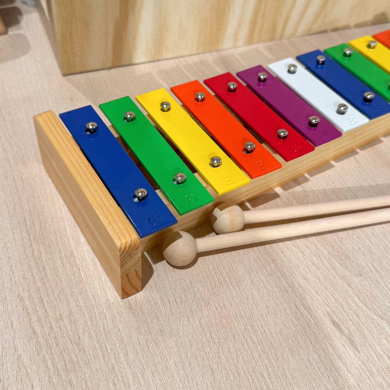 IQ Plus 12 Note Metal Rainbow Glockenspiel/Xylophone with Wooden Mallets Musical Instruments for Kids 3yrs+