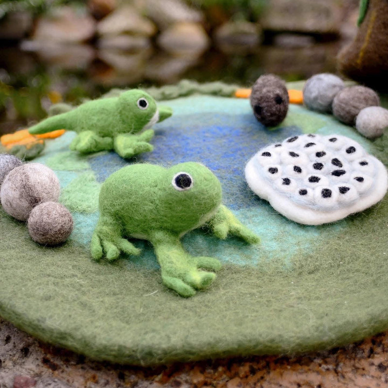 Tara Treasures Felt Life Cycle of a Frog 4pcs Felt Figures Only Pretend & Imaginative Play Toys Felt Animals Early Science 3yrs+