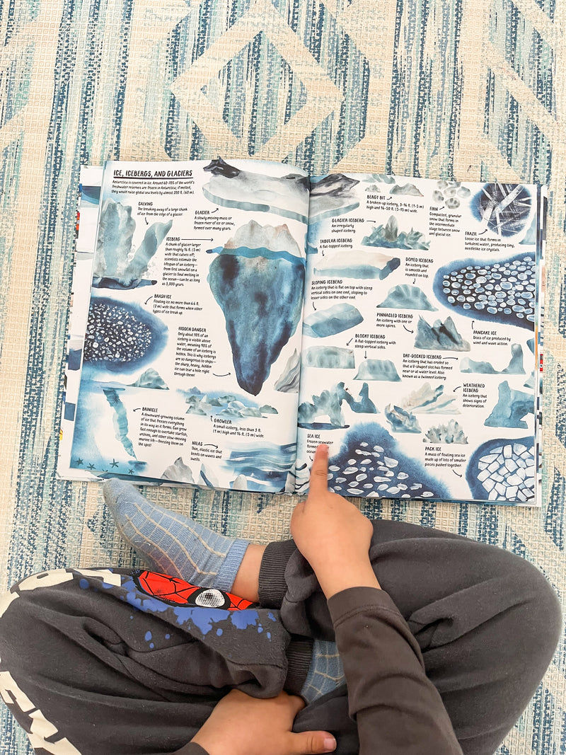All About Antarctica (Hardcover) by Marc Martin Kids Picture Book
