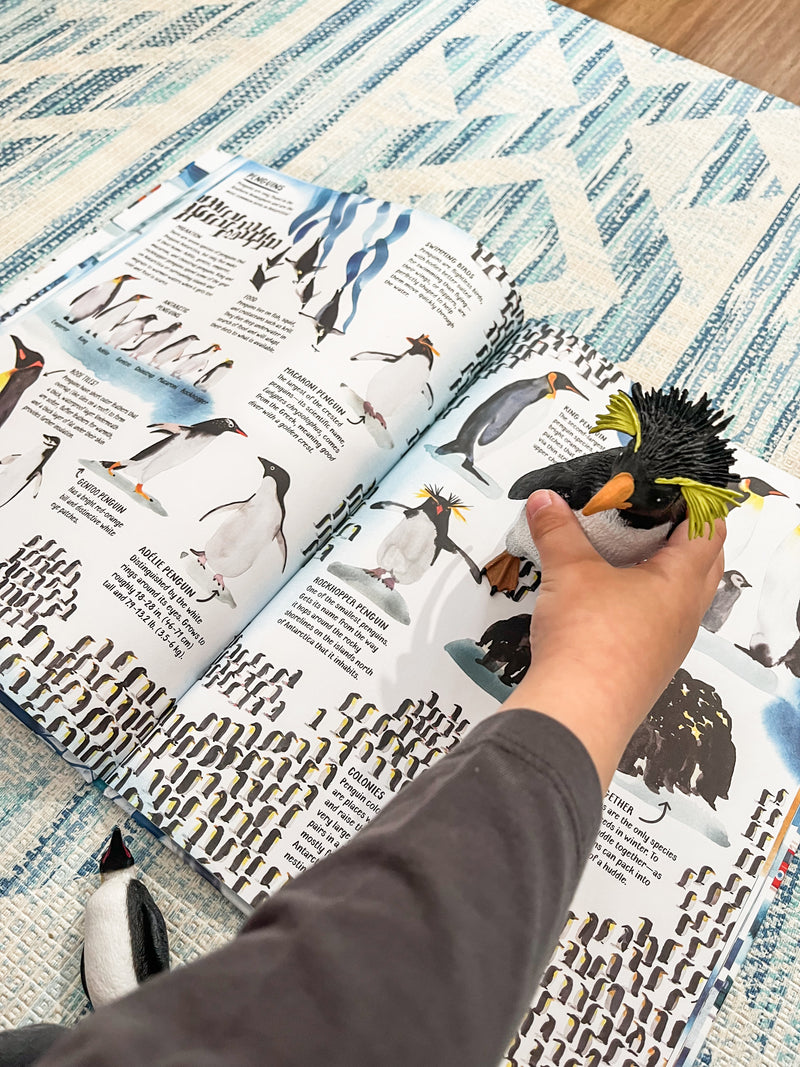 All About Antarctica (Hardcover) by Marc Martin Kids Picture Book