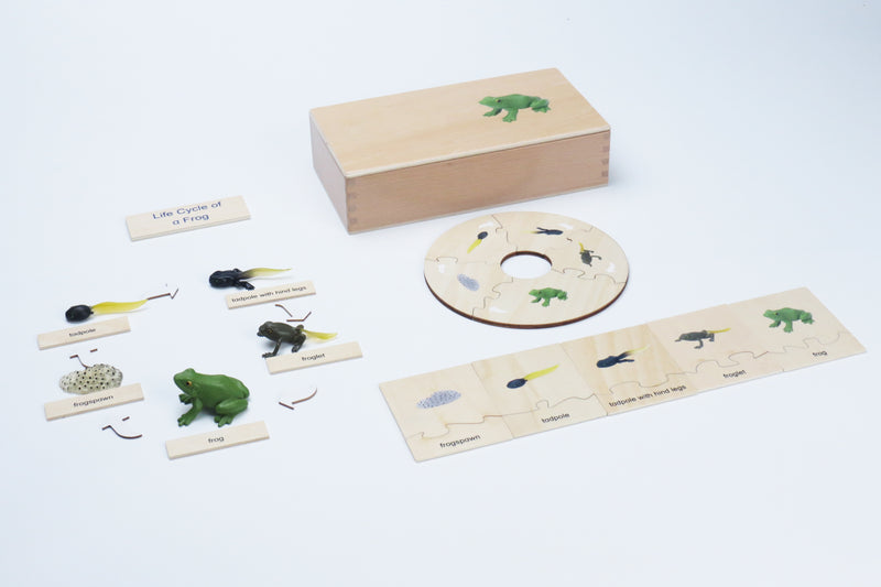 Montessori Wooden Life Cycle of Frog Puzzle Set with 5 Figurines Montessori Materials 3yrs+
