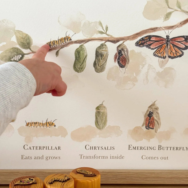 Life Cycle of A Butterfly Poster by Bloomia A3 Premium Matte Paper Art Print