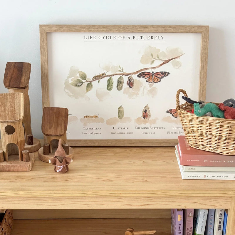 Life Cycle of A Butterfly Poster by Bloomia A3 Premium Matte Paper Art Print