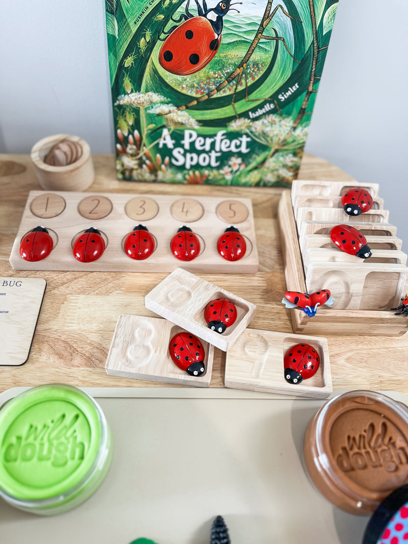 Ladybug Counting Stones 0 to 10 Yellow Door 22pc Early Math Games for Kids STEM Toys Developmental Toys for Toddlers Gifts Idea Best Seller 2yrs+
