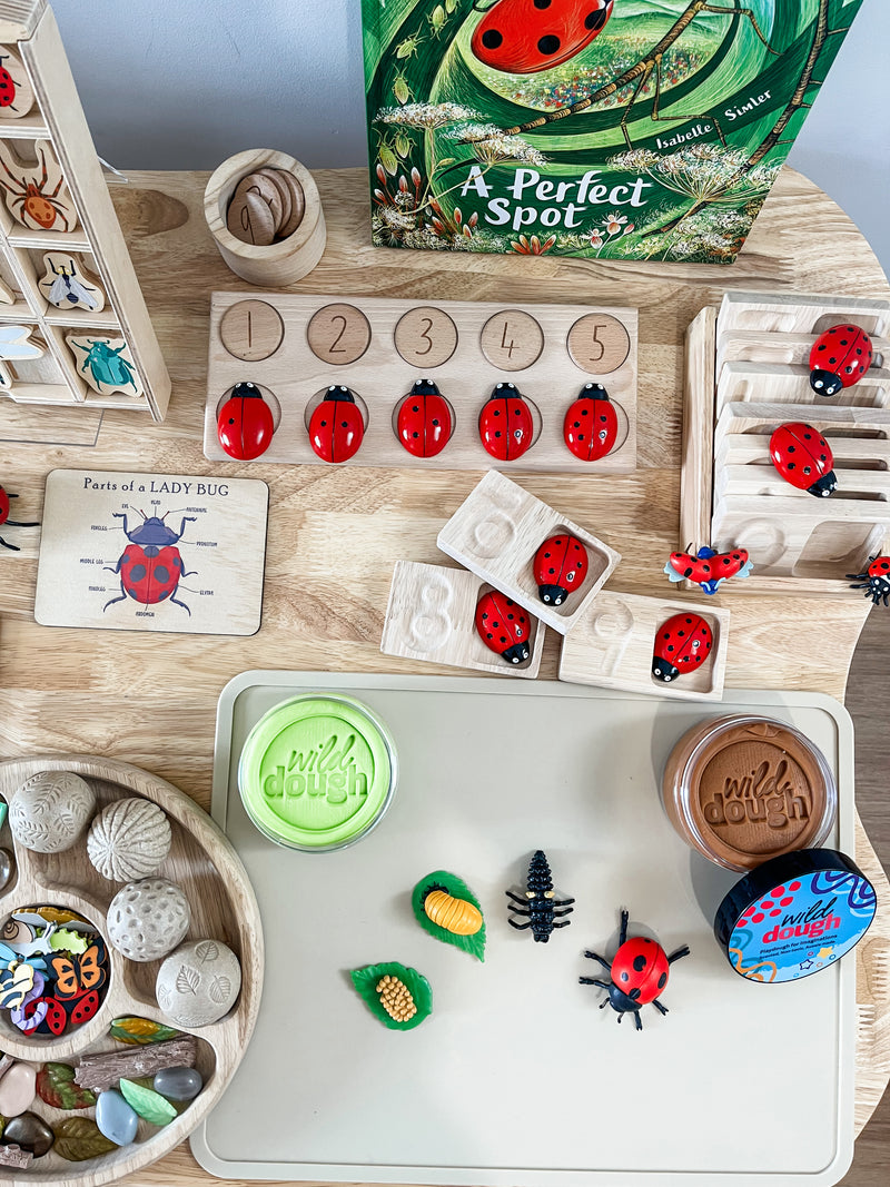 Ladybug Counting Stones 0 to 10 Yellow Door 22pc Early Math Games for Kids STEM Toys Developmental Toys for Toddlers Gifts Idea Best Seller 2yrs+