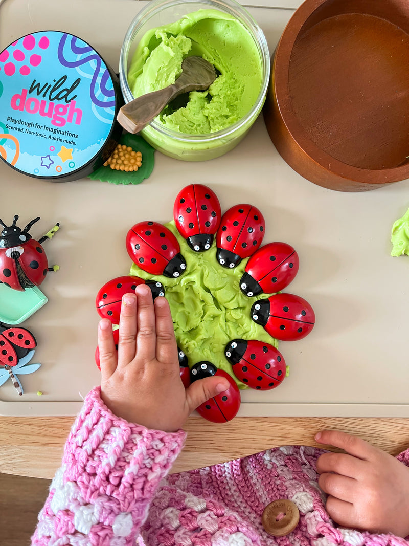 Ladybug Counting Stones 0 to 10 Yellow Door 22pc Early Math Games for Kids STEM Toys Developmental Toys for Toddlers Gifts Idea Best Seller 2yrs+