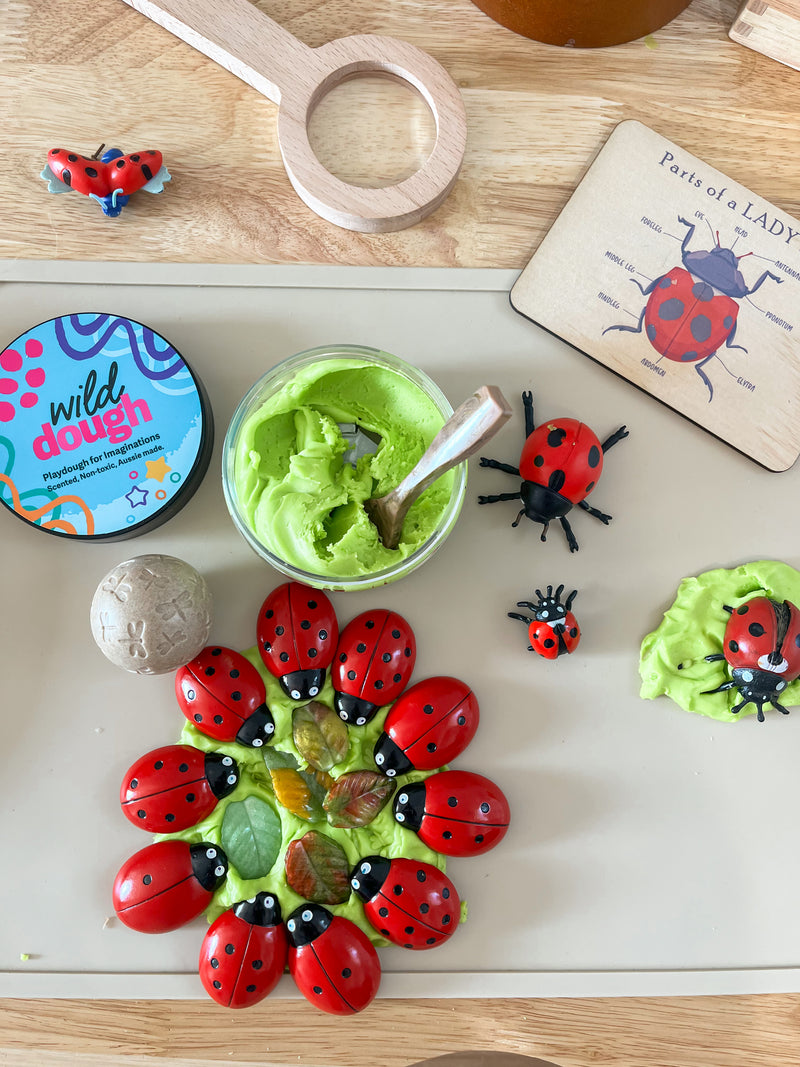 Ladybug Counting Stones 0 to 10 Yellow Door 22pc Early Math Games for Kids STEM Toys Developmental Toys for Toddlers Gifts Idea Best Seller 2yrs+