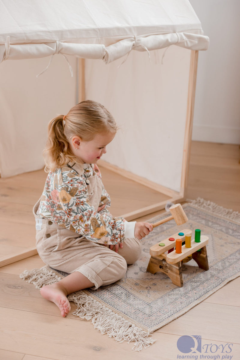 Qtoys Pound A Peg Developmental Toys for Toddler Best Seller 2yrs+ ( PREORDER EARLY DECEMBER)