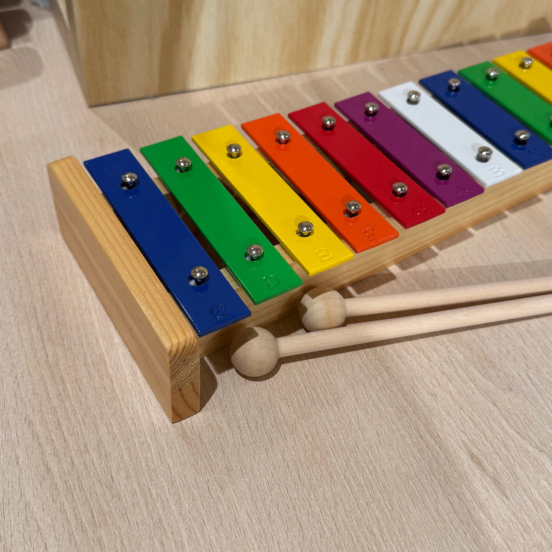 IQ Plus 12 Note Metal Rainbow Glockenspiel/Xylophone with Wooden Mallets Musical Instruments for Kids 3yrs+