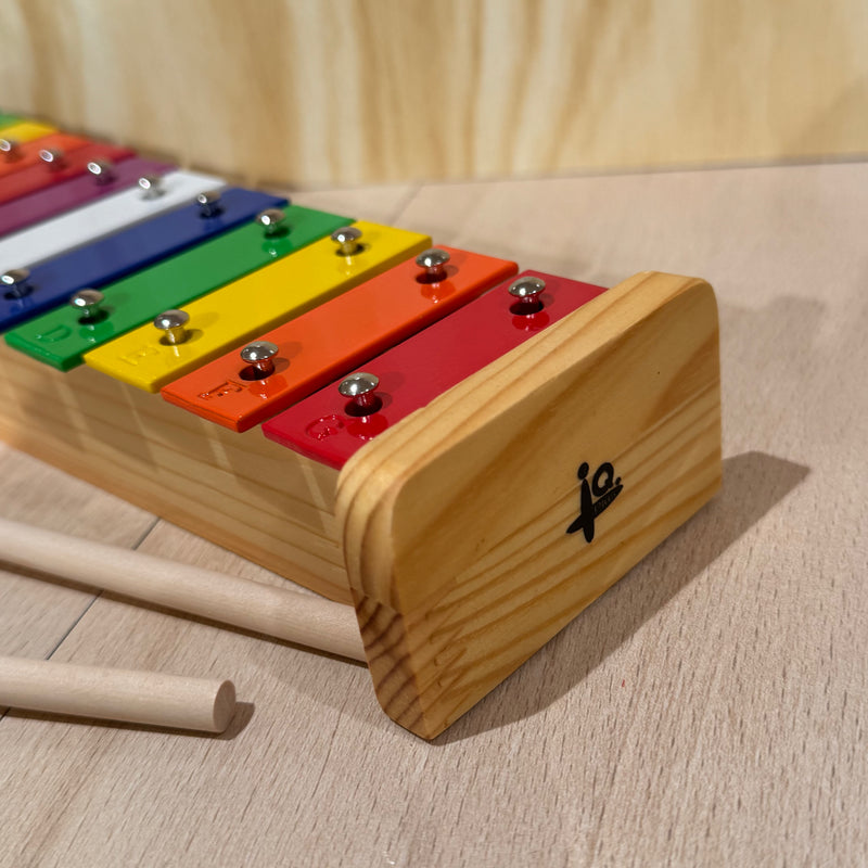 IQ Plus 12 Note Metal Rainbow Glockenspiel/Xylophone with Wooden Mallets Musical Instruments for Kids 3yrs+