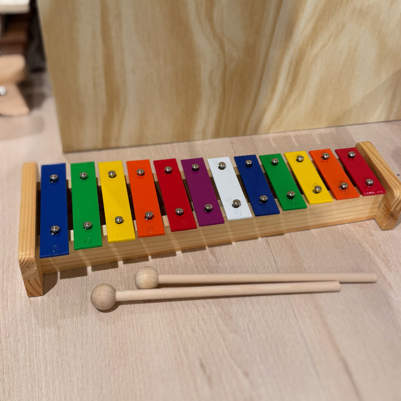 IQ Plus 12 Note Metal Rainbow Glockenspiel/Xylophone with Wooden Mallets Musical Instruments for Kids 3yrs+
