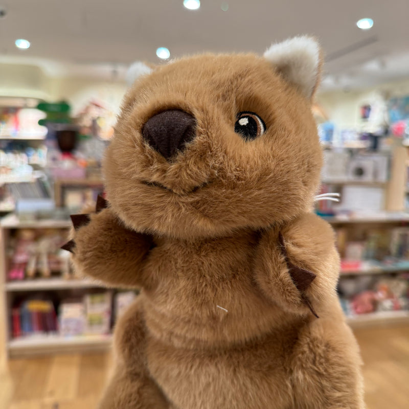 Eco Wombat Hand Puppet 25cm by Eco Buddies Pretend & Imaginative Play Plush Toys 3yrs+