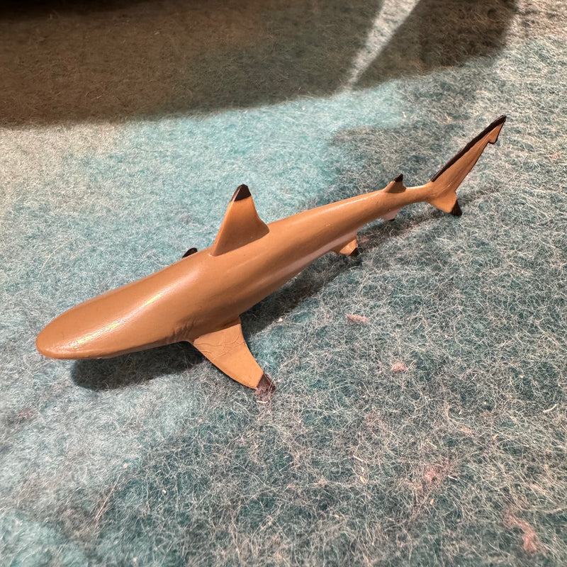 Blacktip Reef Shark Figurine by CollectA Medium Ocean Sea Life Collection Animal Figurines Clearance 3yrs+