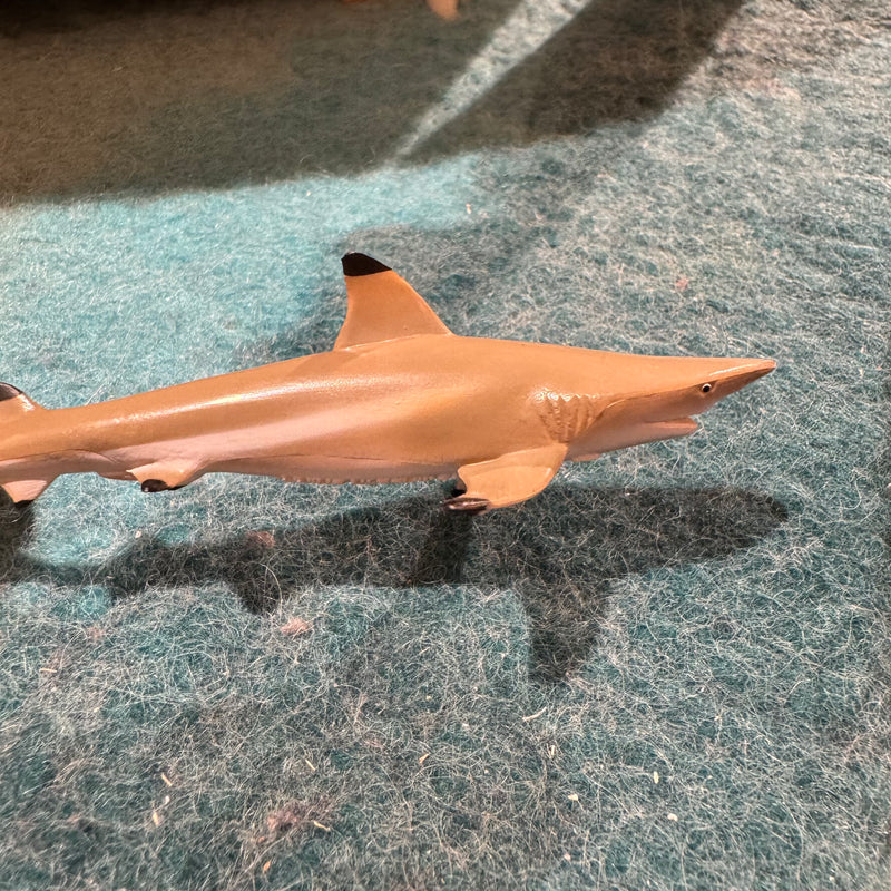 Blacktip Reef Shark Figurine by CollectA Medium Ocean Sea Life Collection Animal Figurines Clearance 3yrs+