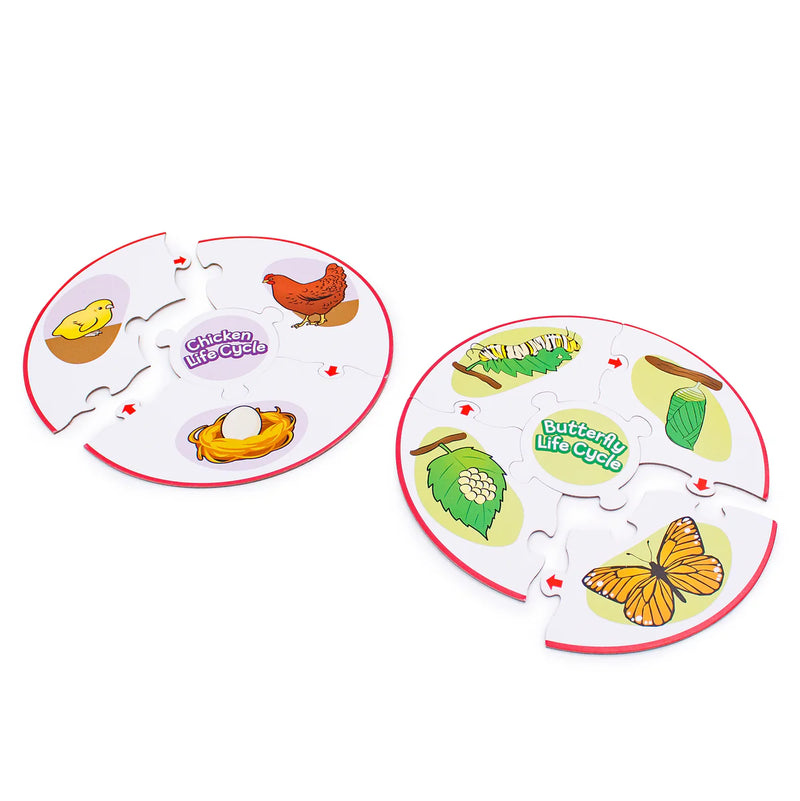 Life Cycle Puzzles By Junior Learning Early Science STEM Toys 4yrs+