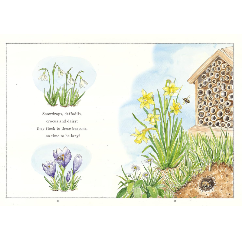 It Starts with a Bee: Watch a tiny bee bring the world to bloom (Hardcover) by Jennie Webber