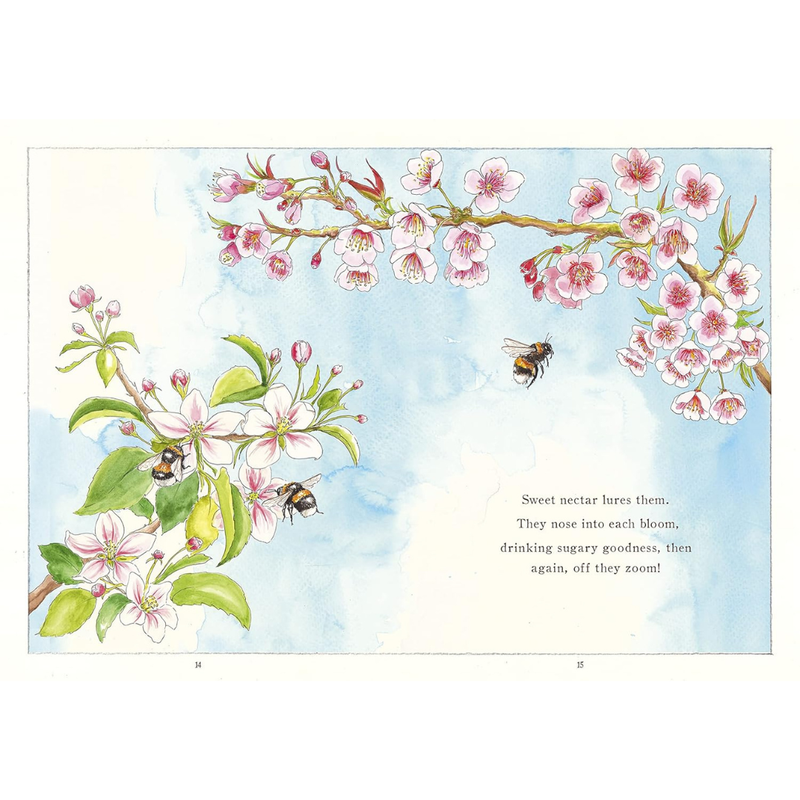 It Starts with a Bee: Watch a tiny bee bring the world to bloom (Hardcover) by Jennie Webber
