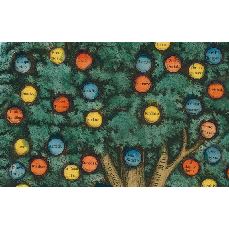 John Derian Sticker Book With Over 500 Stickers (Hardcover) Kids Picture book