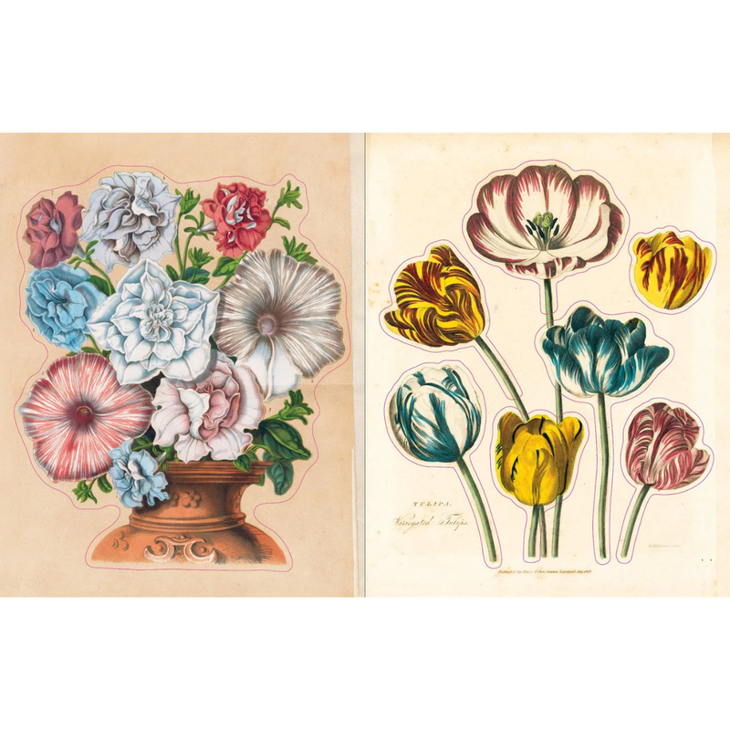 John Derian Sticker Book With Over 500 Stickers (Hardcover) Kids Picture book