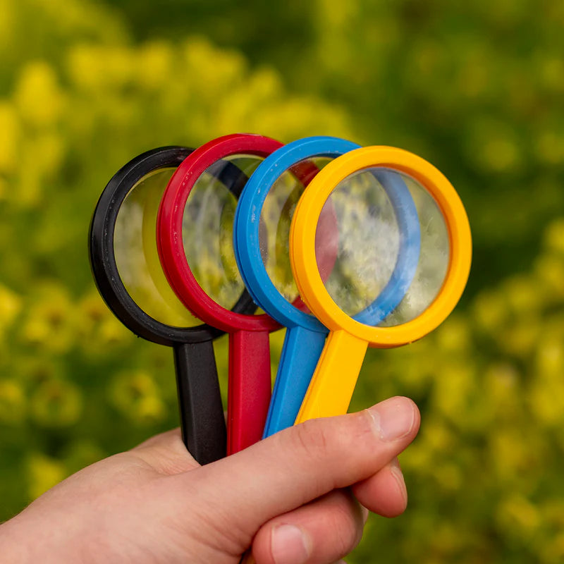Kids Magnifying Lens by Navir 1pcs Assorted Colours Outdoor Travel Toys Early Science Gifting Idea for 4yrs+