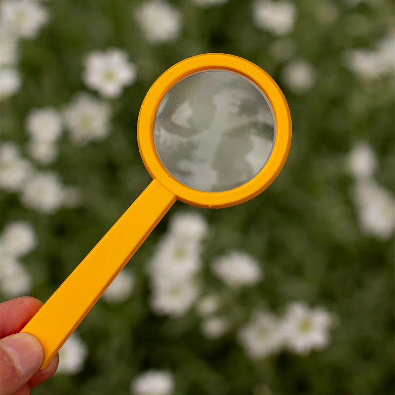 Kids Magnifying Lens by Navir 1pcs Assorted Colours Outdoor Travel Toys Early Science Gifting Idea for 4yrs+